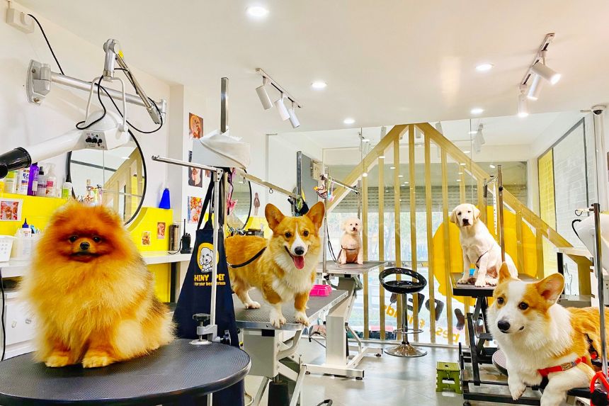 Thiết Kế Web Thú Cưng - Pet Shop Chuyên Nghiệp Giúp Tăng Doanh Thu Bán Hàng Online